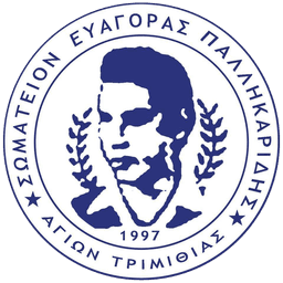 Ευαγόρας Παλληκαρίδης Αγίων Τριμιθιάς