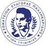 Ευαγόρας Παλληκαρίδης Αγίων Τριμιθιάς